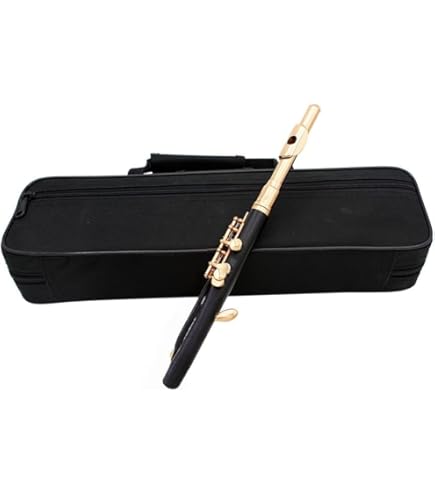 Amazon | Eastern C 初心者向けピッコロフルート、共鳴音、光沢